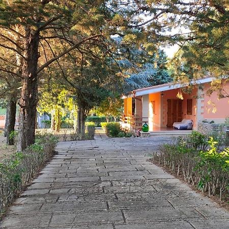 Nature, Memories And Garden Shower At Casa Del Castello Castel Del Monte  Exterior foto