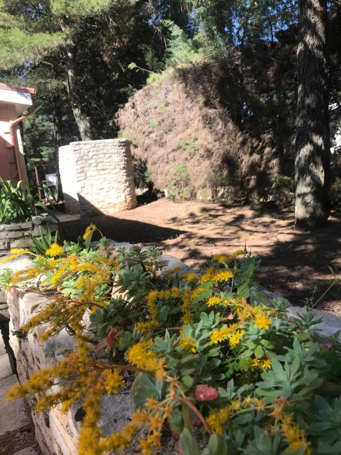Nature, Memories And Garden Shower At Casa Del Castello Castel Del Monte  Exterior foto